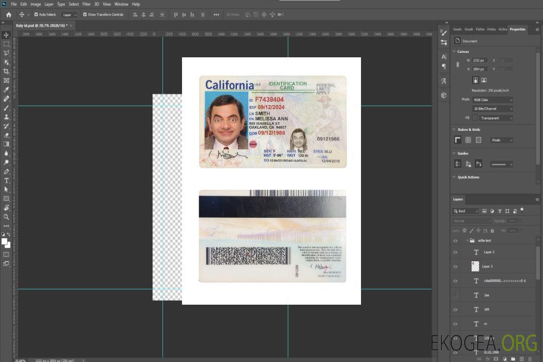 Carte d'identité USA Californie template Carte d'identité USA Californie template